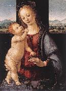LORENZO DI CREDI Madonna and Child with a Pomegranate Sweden oil painting artist